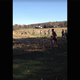 Illustration for article titled Deer Lowers The Boom On Cross Country Runner